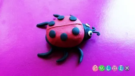 Ca etape plastilină Ladybird orb