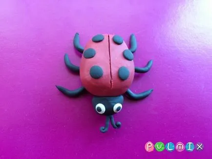 Ca etape plastilină Ladybird orb