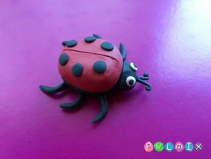 Ca etape plastilină Ladybird orb