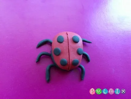 Ca etape plastilină Ladybird orb