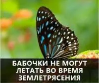 Как да се държим с психолога на училището, децата, детската психология и развитието