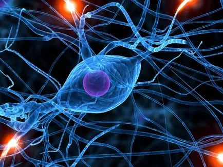 Как да подобрим паметта и вниманието към традиционните лекарства и медикаменти, които подобряват паметта и производителността