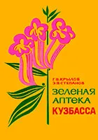 Как да расте в градината на див чесън