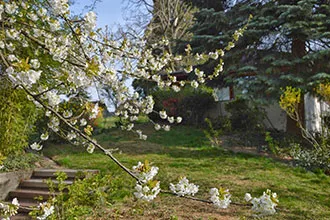 Hogyan, hogy összehangolják a helyszínen a lejtőn