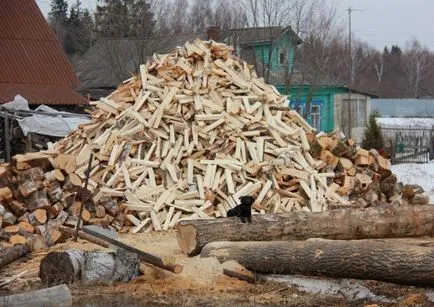 Cum să se pregătească lemne de foc pentru iarna, cum să taie lemne și nasushit propriile mâini