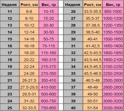 Калкулатор за наддаване на тегло по време на бременност