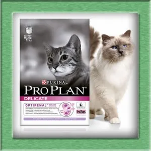 Суха храна Pro Plan за котки, домашни любимци