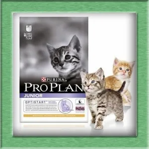 Суха храна Pro Plan за котки, домашни любимци