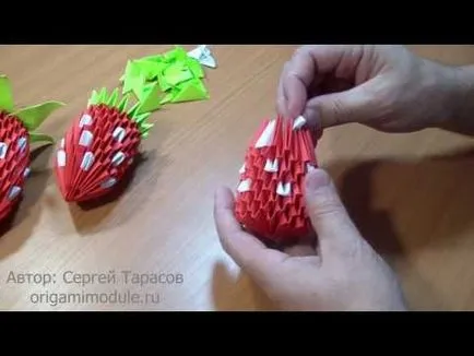 Kategória rendszerek gyümölcsök, bogyók, moduláris origami blog Sergei Tarasov