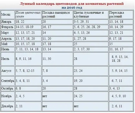 Amikor ez a legjobb a transzplantáció cserepes növények