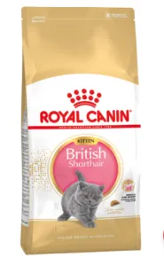 Furaje pentru caracteristici Royal Canin British Shorthair și beneficii