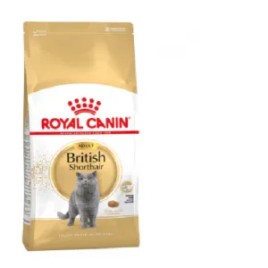 Furaje pentru caracteristici Royal Canin British Shorthair și beneficii
