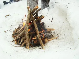 Un foc de lemn verde, odată ce se întâmplă