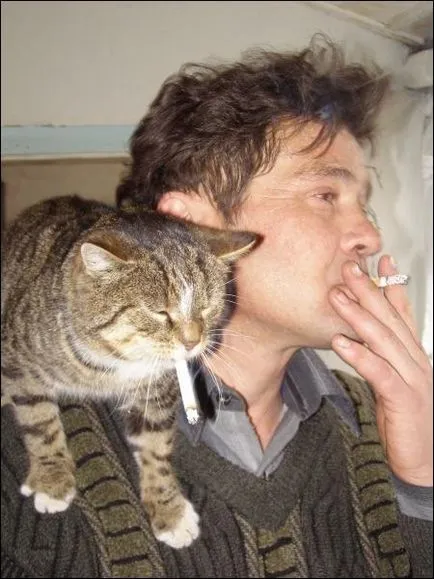 Kot învățat pisica fumat (foto)