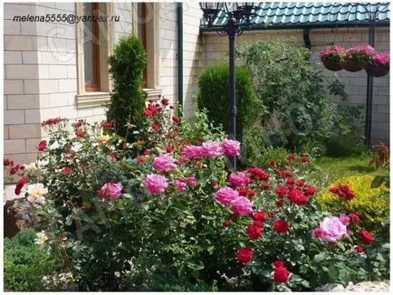 paturi de flori frumoase, cu propriile lor mâini, sau cum să faci o grădină de flori