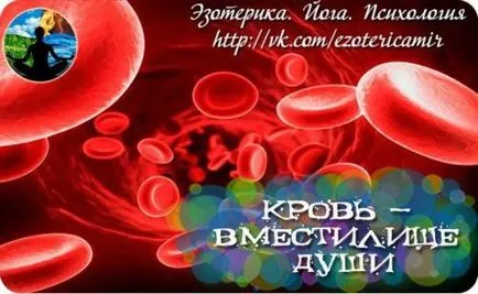 Blood - un depozit al sufletului, psihologia relațiilor