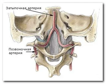 Szédülés kezelésében a osteochondrosis a nyaki gerinc