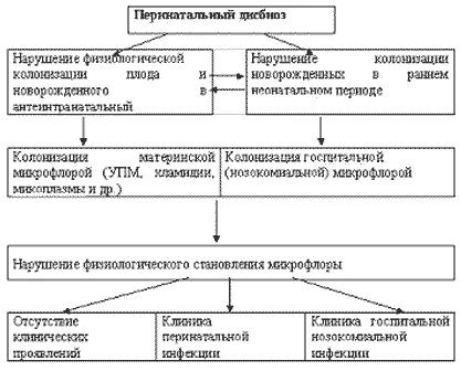 Tratamentul infectiei mixte urogenital