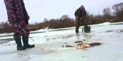 Улавянето зимата на pokatok тънкости и тайни