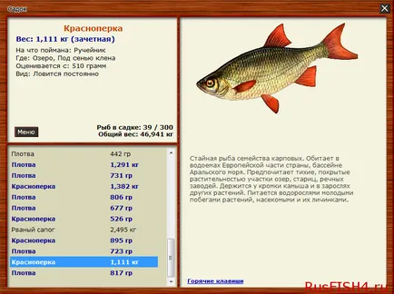Хвани риба за късмет на бульон (част 1), всички от игра руския риболов
