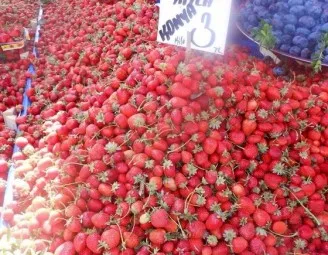 Üzletek Alanya élünk Alanya