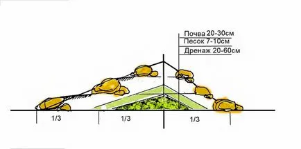 Master class pentru producerea unui diapozitiv alpin