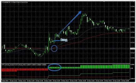 Strategia de minute MACD max