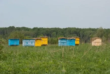 Lehetséges, hogy Ilyin napos munka, mosás, varrni, kerti munka, hírek a magyar régiók