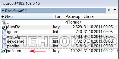 Setarea Cardsharing pe receptor Openbox S6 HD PVR - calitate și nu scump Cardsharing de facturare