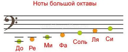 Музикални гатанки с отговори за деца на 5-7 години