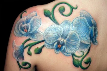 Az igazi jelentését tetoválás orchidea
