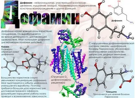 Neurotransmitatorilor serotonina, dopamina si histamina