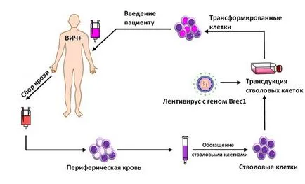 Noutăți despre HIV