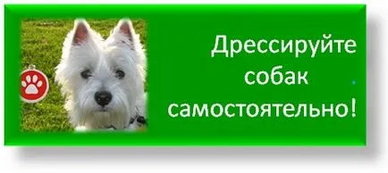 Какво си мисли, на коня и как да се научим да го разбирам, училището на приложните етологията