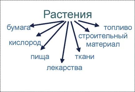 Светът около нас 3-та степен - как да се запази разнообразието на растенията на Земята