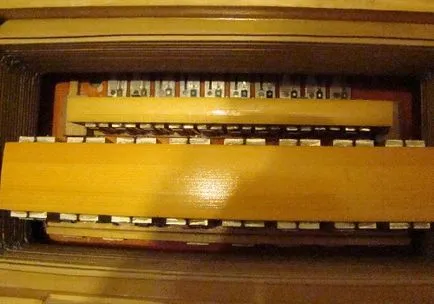 Áttekintés Tula szabott multi-hangszínes harmonikus az első tulajdonos az eszköz Pál