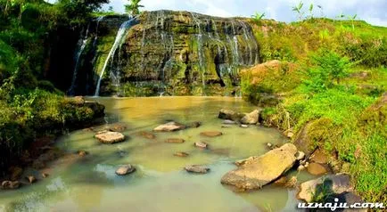 zboruri Insula Java, Obiective, activități