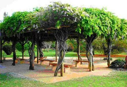 Pergola fából