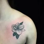 Tatuaj valoare magnolie, fapte și fotografii interesante