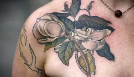 Tattoo magnólia érték, érdekes tényeket és képeket