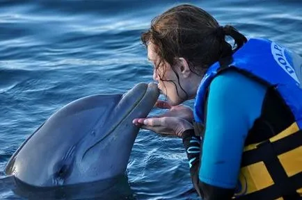 Úszás a delfinekkel nem csak szórakoztató, hanem hasznos