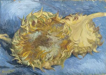 Floarea soarelui Van Goga