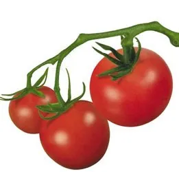 Tomate comestibile - să fie sănătos