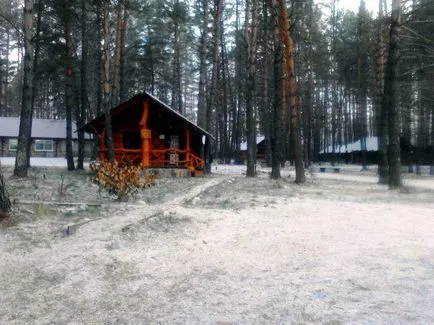 După o excursie la Altai, am început să bea sânge, tripco