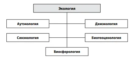 Alany, tárgy, célok és módszerek a környezeti tudomány