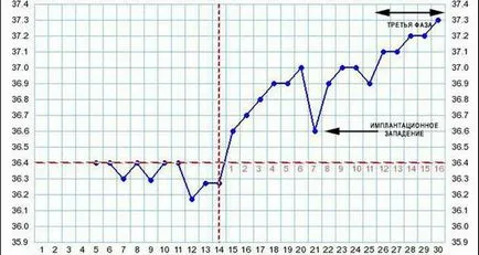 program adecvat temperaturii bazale