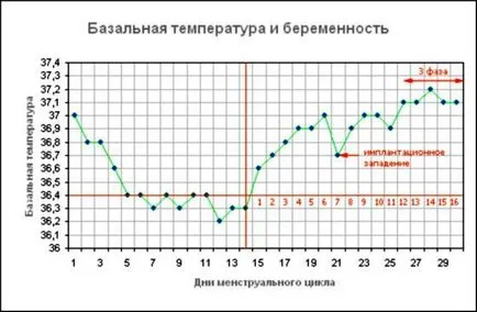 Правилното график на базалната температура