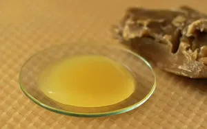 Propolis pentru gastrita