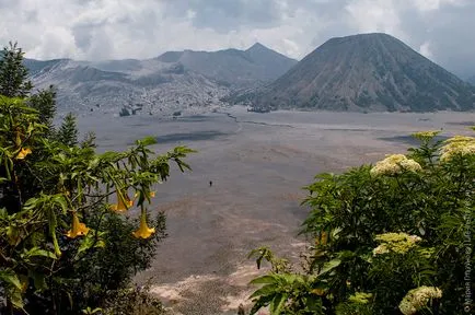Travel Java или две седмици на остров вулкани