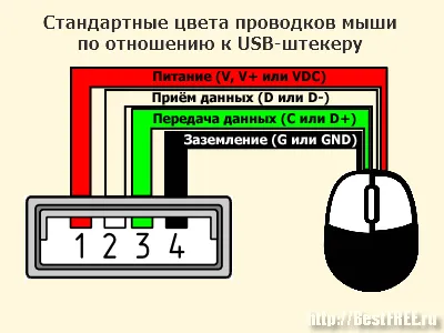 Ремонт на мишката с ръцете си, на главния зъб